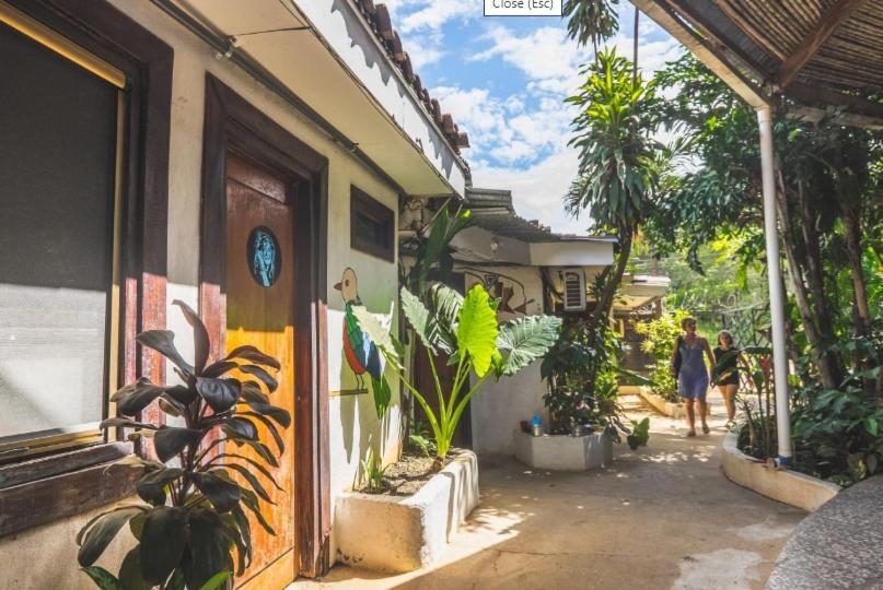 Pura Vida Hostel Tamarindo Buitenkant foto