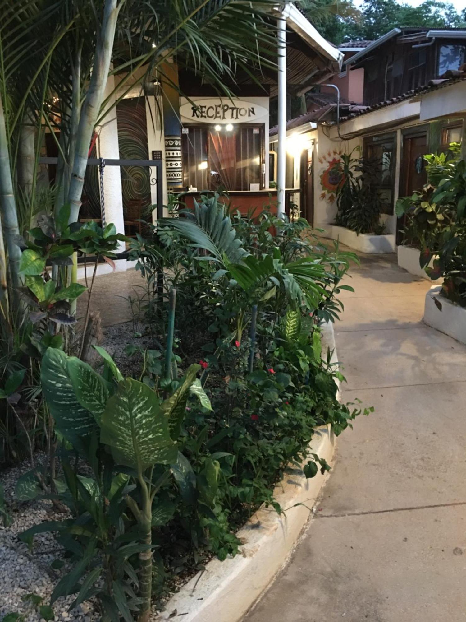 Pura Vida Hostel Tamarindo Buitenkant foto