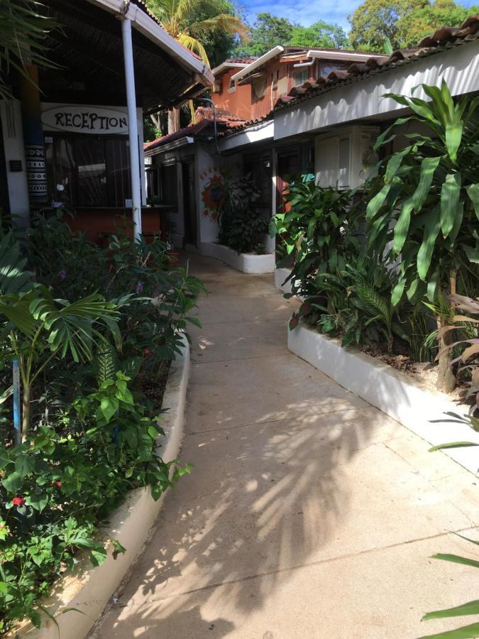 Pura Vida Hostel Tamarindo Buitenkant foto